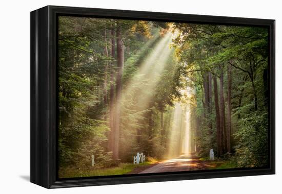 This Beam is Booming-Lars Van de Goor-Framed Premier Image Canvas