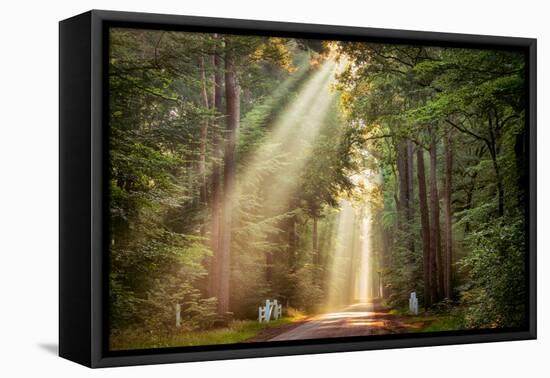 This Beam is Booming-Lars Van de Goor-Framed Premier Image Canvas