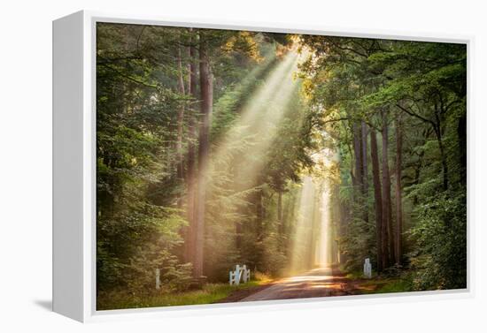 This Beam is Booming-Lars Van de Goor-Framed Premier Image Canvas