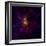 This Chandra X-ray Observatory Image Shows Westerlund 2, a Young Star Cluster-null-Framed Photographic Print