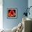 This Dordogne Tulip-Steve Gadomski-Framed Photographic Print displayed on a wall