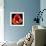 This Dordogne Tulip-Steve Gadomski-Framed Photographic Print displayed on a wall