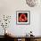 This Dordogne Tulip-Steve Gadomski-Framed Photographic Print displayed on a wall