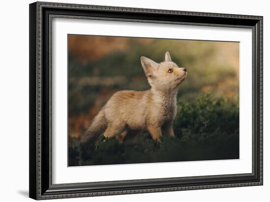 This Image is from the 1X Innovations Collection.-Ahmed Sobhi-Framed Giclee Print