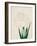 This Image is from the Bridgeman Collection.-Japanese School-Framed Giclee Print