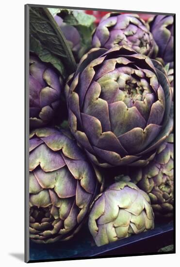 This is a Close-Up Shot of Fresh Artichokes in Rome's Market at Campo Dei'fiori.-Gabriel Scott-Mounted Photographic Print