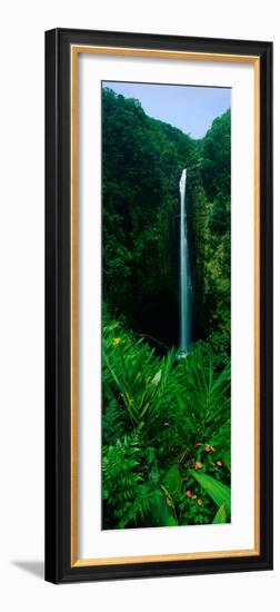 This Is Akaka Falls State Park. the Falls are 442 Feet Long. it Is Located North of Hilo-null-Framed Photographic Print