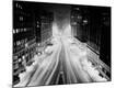 Photographic Print