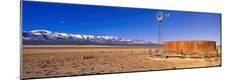 Photographic Print