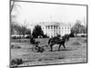 This is an Undated View of the White House Building-null-Mounted Photographic Print