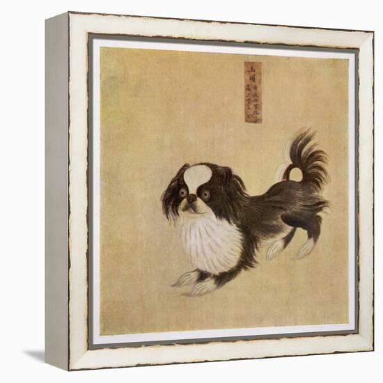 This is How the Pekingese Dog Looked in Its Native China as Depicted in an Imperial Dog Book-null-Framed Stretched Canvas