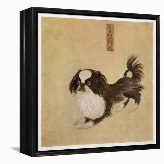 This is How the Pekingese Dog Looked in Its Native China as Depicted in an Imperial Dog Book-null-Framed Stretched Canvas