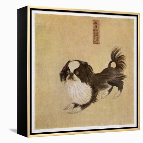 This is How the Pekingese Dog Looked in Its Native China as Depicted in an Imperial Dog Book-null-Framed Stretched Canvas