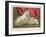 This Pomeranian Looks Quite Large Beside a Maltese Terrier-null-Framed Art Print