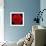 This Red Carnation-Steve Gadomski-Framed Photographic Print displayed on a wall