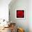 This Red Carnation-Steve Gadomski-Framed Photographic Print displayed on a wall