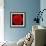 This Red Carnation-Steve Gadomski-Framed Photographic Print displayed on a wall