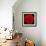 This Red Carnation-Steve Gadomski-Framed Photographic Print displayed on a wall