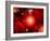 This Red Giant Star Is Much Older and Bigger Than Earth's Sun-Stocktrek Images-Framed Photographic Print