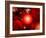 This Red Giant Star Is Much Older and Bigger Than Earth's Sun-Stocktrek Images-Framed Photographic Print