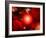 This Red Giant Star Is Much Older and Bigger Than Earth's Sun-Stocktrek Images-Framed Photographic Print