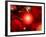 This Red Giant Star Is Much Older and Bigger Than Earth's Sun-Stocktrek Images-Framed Photographic Print