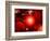 This Red Giant Star Is Much Older and Bigger Than Earth's Sun-Stocktrek Images-Framed Photographic Print