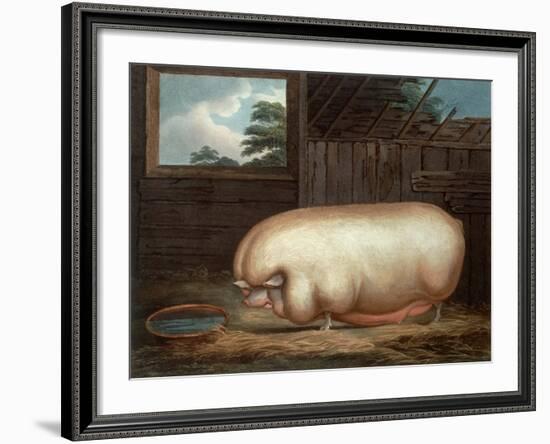 "This Remarkable Animal...", Engraved by John Whessel (C.1760-1823), 1808-Benjamin Gale-Framed Giclee Print
