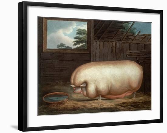 "This Remarkable Animal...", Engraved by John Whessel (C.1760-1823), 1808-Benjamin Gale-Framed Giclee Print