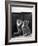 This Small Grey and White Kitten Stares up at the Ceiling While Sitting Next to a Large Mirror-Thomas Fall-Framed Photographic Print