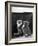 This Small Grey and White Kitten Stares up at the Ceiling While Sitting Next to a Large Mirror-Thomas Fall-Framed Photographic Print