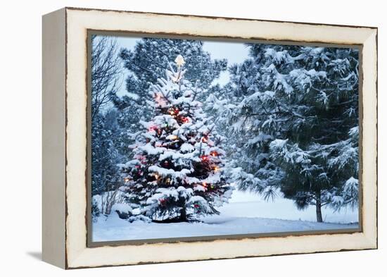 This Snow Covered Christmas Tree Stands out Brightly against the Dark Blue Tones of this Snow Cover-Ricardo Reitmeyer-Framed Premier Image Canvas