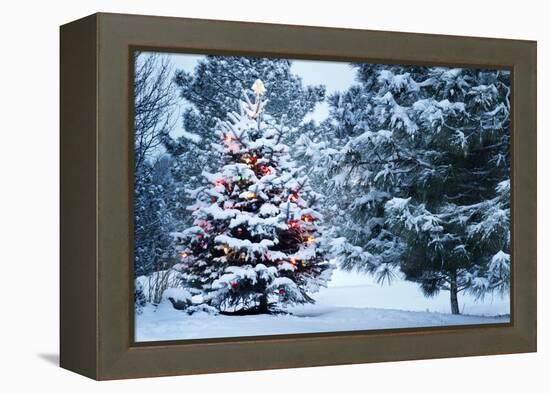 This Snow Covered Christmas Tree Stands out Brightly against the Dark Blue Tones of this Snow Cover-Ricardo Reitmeyer-Framed Premier Image Canvas