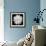 This White Chrysanthemum-Steve Gadomski-Framed Photographic Print displayed on a wall