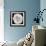 This White Rose-Steve Gadomski-Framed Photographic Print displayed on a wall