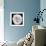 This White Rose-Steve Gadomski-Framed Photographic Print displayed on a wall