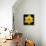 This Yellow Daffodil-Steve Gadomski-Framed Premier Image Canvas displayed on a wall