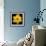 This Yellow Daffodil-Steve Gadomski-Framed Photographic Print displayed on a wall