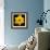 This Yellow Daffodil-Steve Gadomski-Framed Photographic Print displayed on a wall