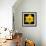 This Yellow Daffodil-Steve Gadomski-Framed Photographic Print displayed on a wall