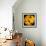 This Yellow Tulip-Steve Gadomski-Framed Photographic Print displayed on a wall