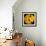 This Yellow Tulip-Steve Gadomski-Framed Photographic Print displayed on a wall