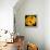 This Yellow Tulip-Steve Gadomski-Framed Premier Image Canvas displayed on a wall