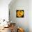 This Yellow Tulip-Steve Gadomski-Framed Premier Image Canvas displayed on a wall