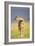 This Young One-Susann Parker-Framed Photographic Print