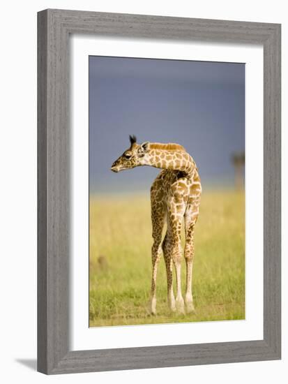 This Young One-Susann Parker-Framed Photographic Print