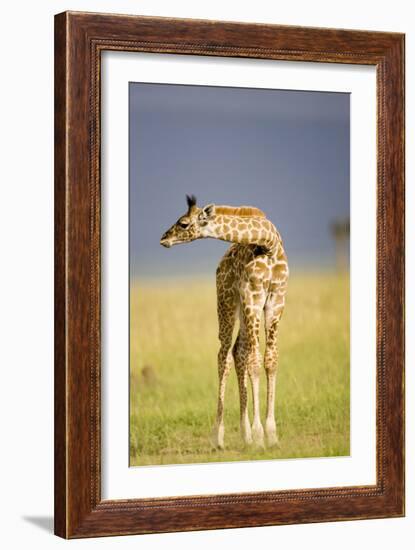 This Young One-Susann Parker-Framed Photographic Print