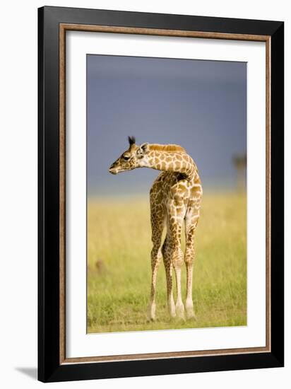 This Young One-Susann Parker-Framed Photographic Print