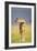 This Young One-Susann Parker-Framed Photographic Print