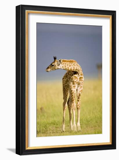 This Young One-Susann Parker-Framed Photographic Print